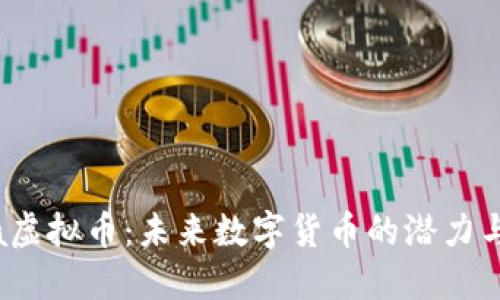 探索Akita虚拟币：未来数字货币的潜力与实用价值