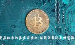 投资虚拟币的真实与虚幻：值得信赖还是财富陷