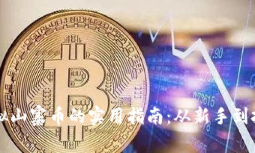 投资虚拟山寨币的实用指南：从新手到投资高手