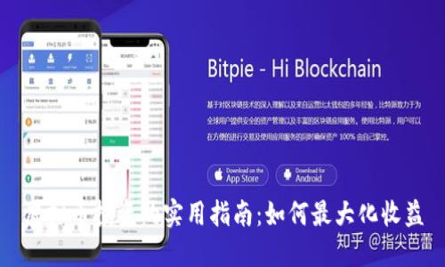 虚拟币投资的实用指南:如何最大化收益